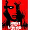flat750x075f pad750x1000f8f8f8.u15 16 - Night Of The Living Dead Merch